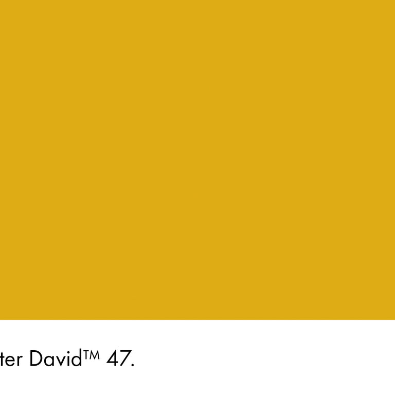Little Greene Paint Mister David No.47