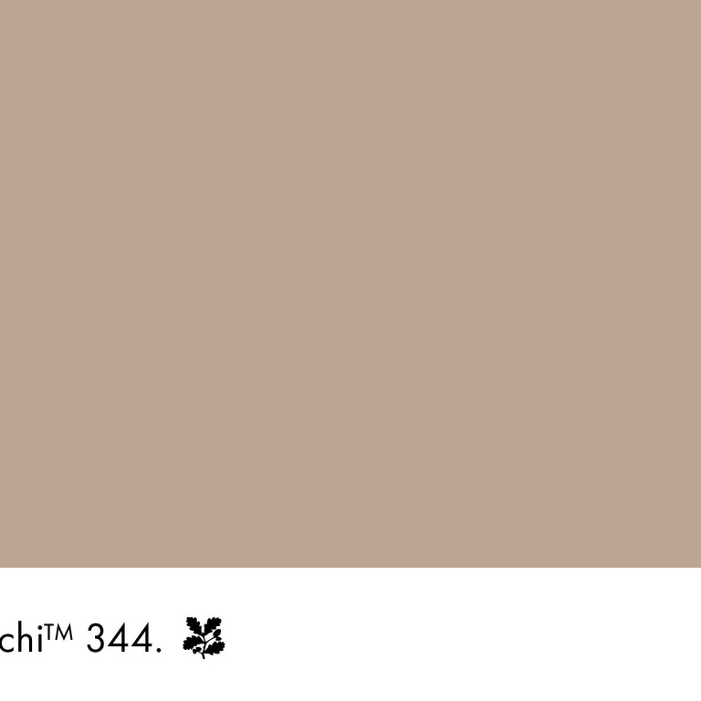 Little Greene Paint Mochi No.344