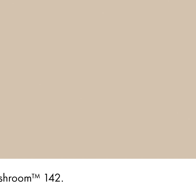 Little Greene Paint Mushroom No.142