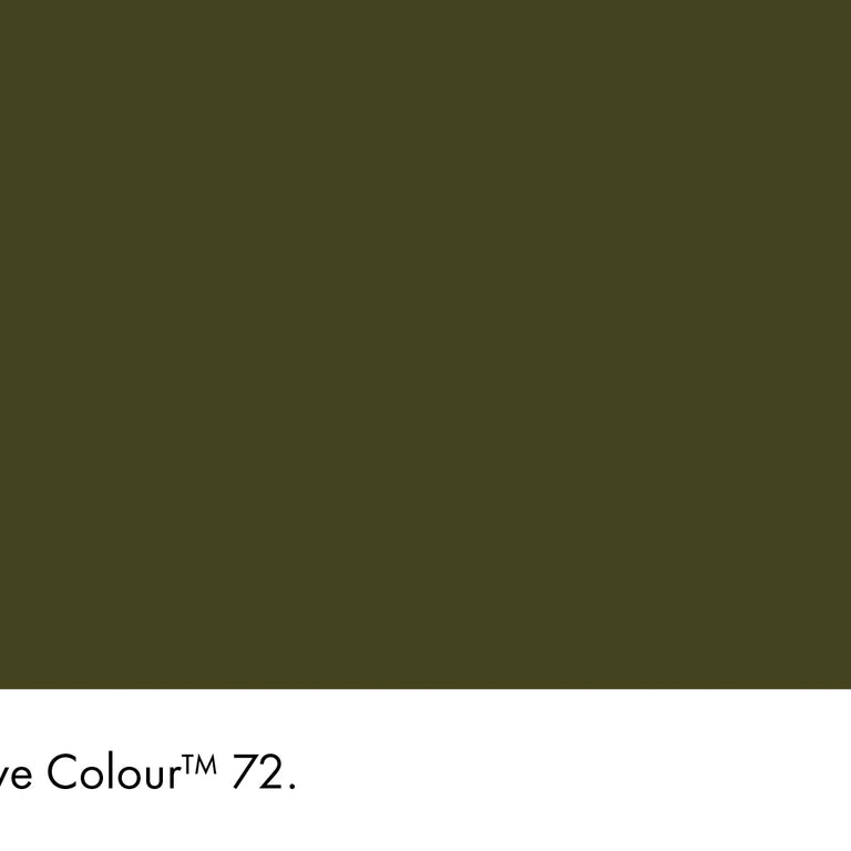 Little Greene Paint Olive Colour No.72