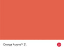 Orange Aurora No.21 colour swatch with name