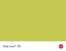 Pale Lime No.70 colour swatch with name