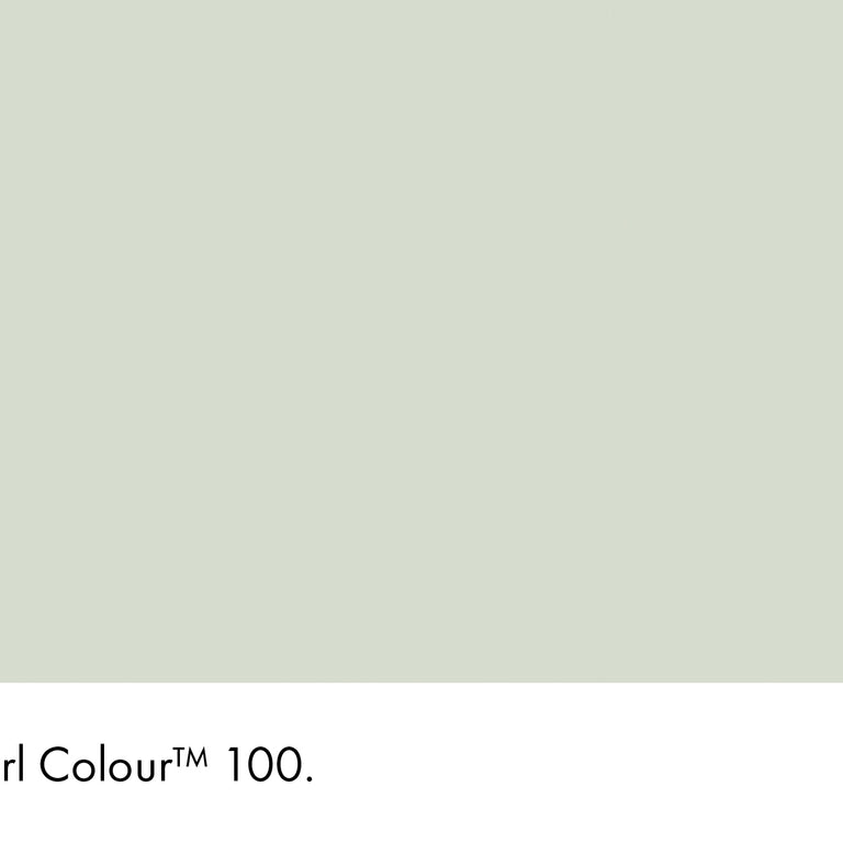 Little Greene Paint Pearl Colour No.100