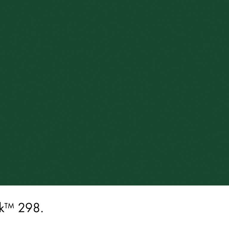 Little Greene Paint Puck No.298