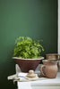 Dark Brunswick Green No.88 by Little Greene, room setting