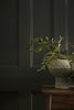Pompeian Grey No.293 by Little Greene, room setting