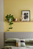 Sunlight No.135 by Little Greene, room setting