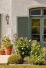Slaked Lime - Mid No.149 by Little Greene, exterior with Livid No.263