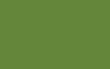 Sage and Onions No.288 flat colour swatch, hex #638538