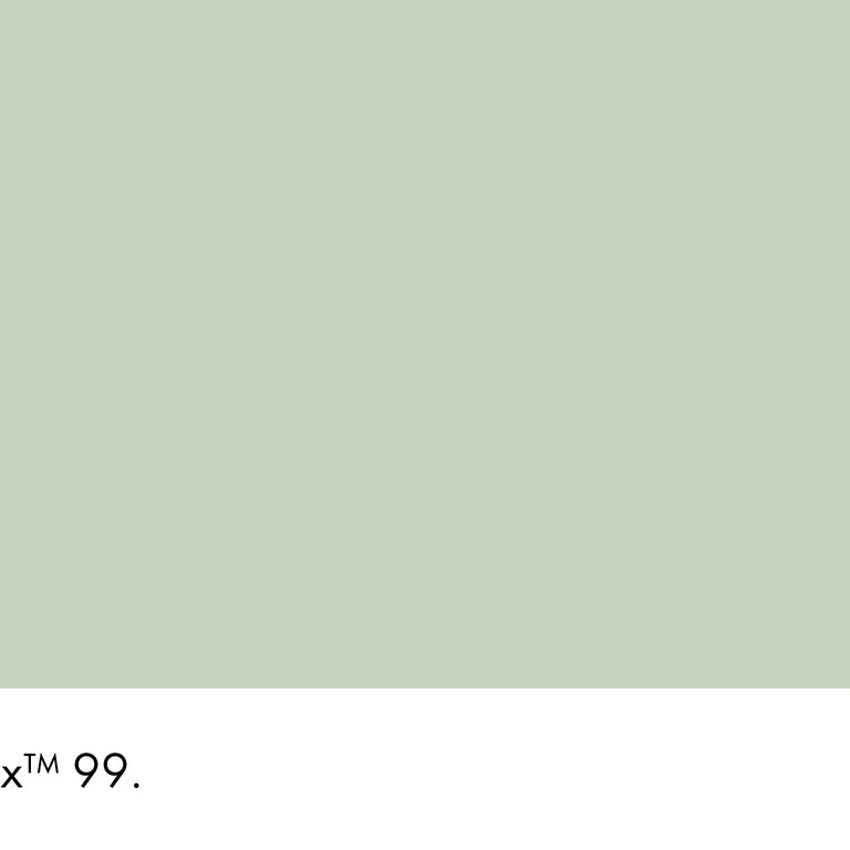 Little Greene Paint Salix No.99