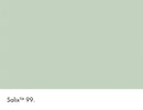 Salix No.99 colour swatch with name