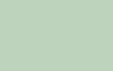 Tabernacle No.308 flat colour swatch, hex #BED3BB