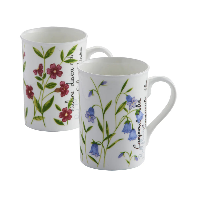 Assorted Bone China Mug 30cl Price  Kensington