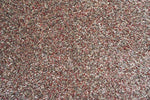 Coral Rug 0240001 1121