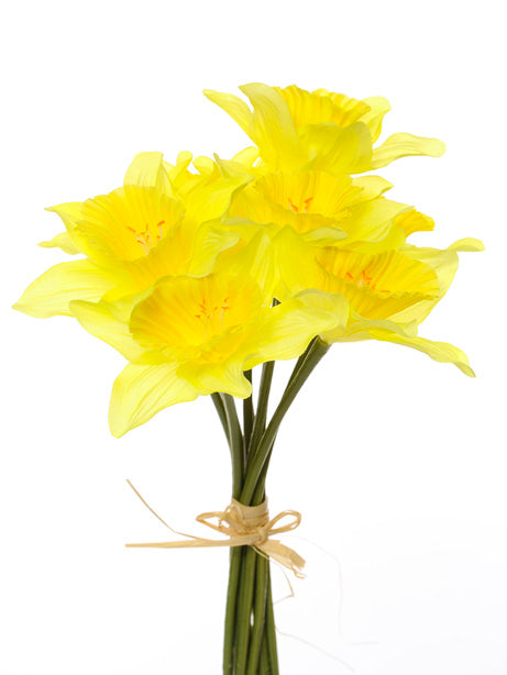 Daffodil Bundle Traditional