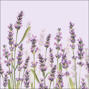 Napkin 33 Lavender Shades Lila FSC Mix