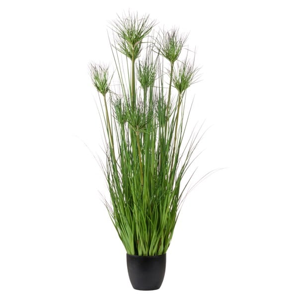 Fern Cottage Water Bamboo Grass