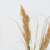 Reed Decorative Branch