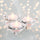 addon image