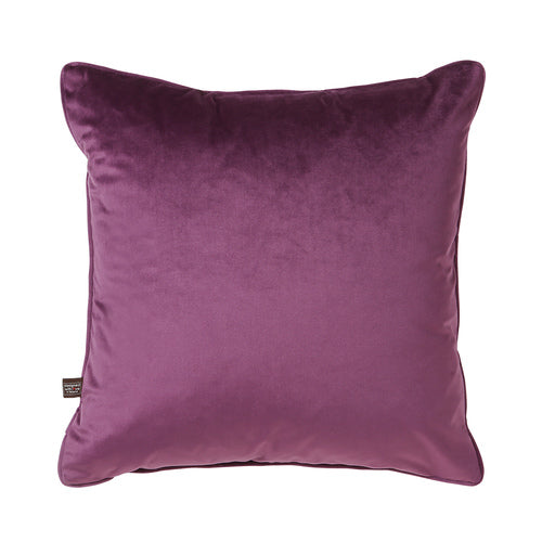 Scatterbox Bellini Velour Cushion  Purple