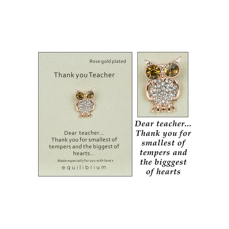 Sentiment Pin Brooch Teacher