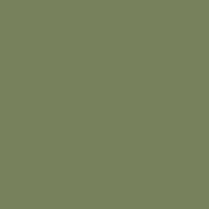 Sage Green 80