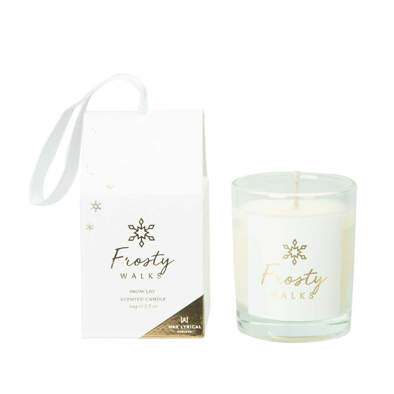 Frosty Walks Hanging Votive