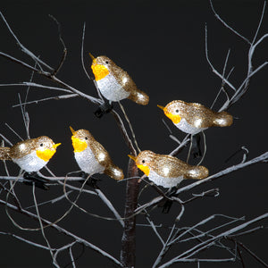 5 Acrylic Robin Lights with 30 Ice White LEDsClipOn