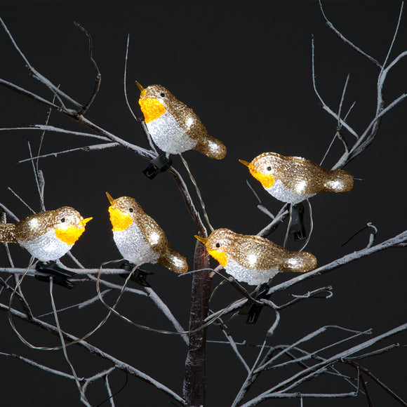 5 Acrylic Robin Lights with 30 Ice White LEDsClipOn