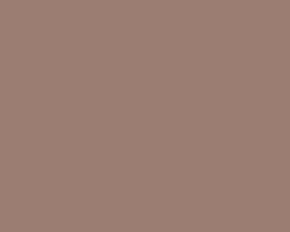 Colourtrend Contemporary Collection  Chestnut Pink