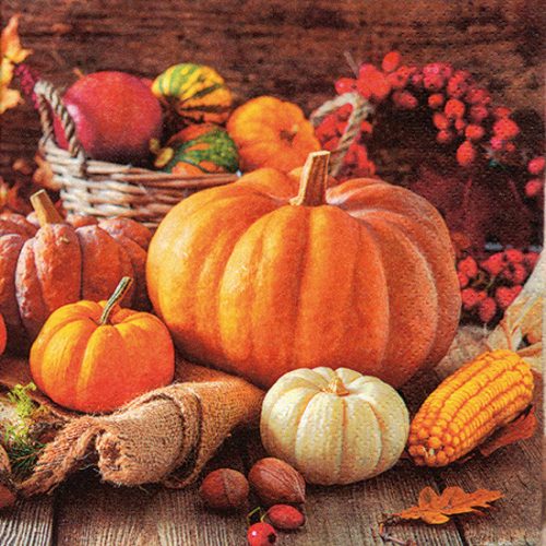 342130 Napkins 33x33cm