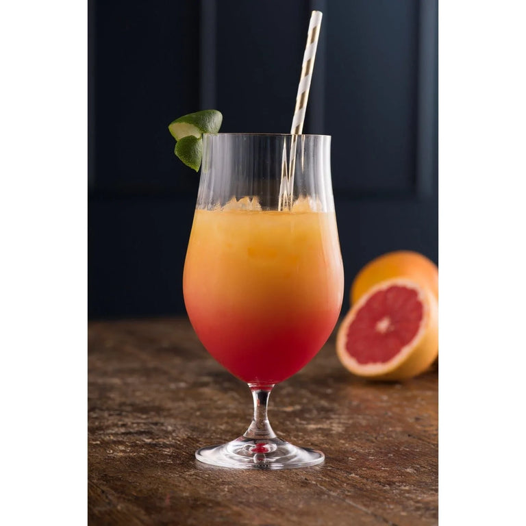 Erne Craft BeerCocktail Glass Pair