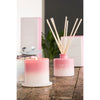 Galway Crystal Cactus Blossom Diffuser