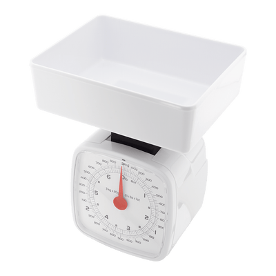 Judge Traditional White Scale