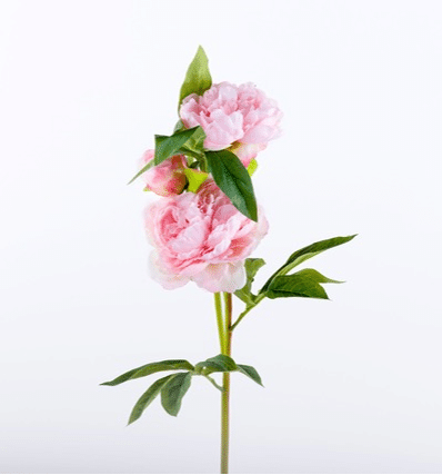 Luxury Peony Spray Soft pink