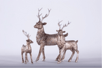Vintage Deer Set3
