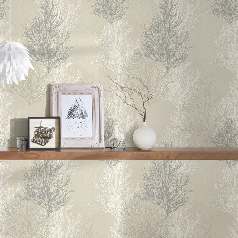 Adelaide CreamSilver Tree Wallpaper  348192