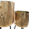 Azure 2 Leaf Planters with Tripod Gold