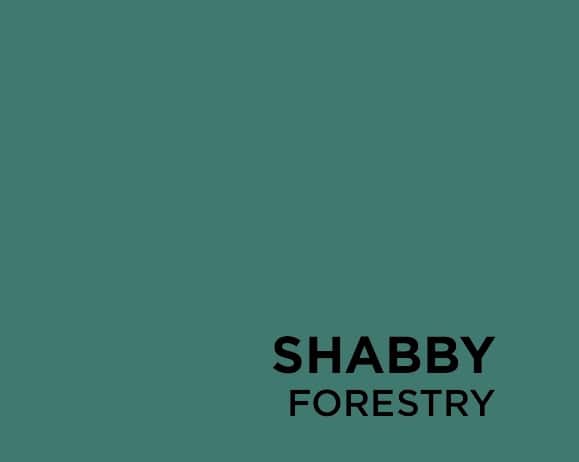 Fleetwood Shabbyie Furniture Paint Collection  Forestry