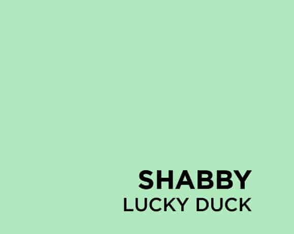 Fleetwood Shabbyie Furniture Paint Collection  Lucky Duck