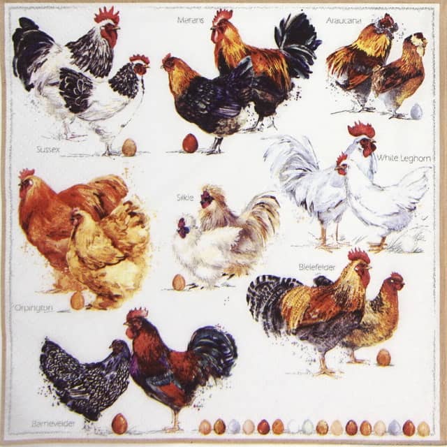 389217 Napkins 33x33cm