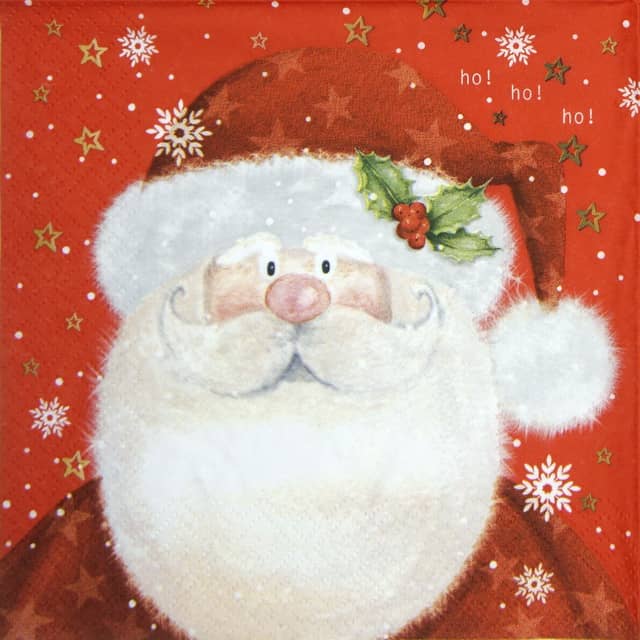 303541 Napkins 33x33cm