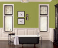 Fleetwood Popular Colours  Chartreuse