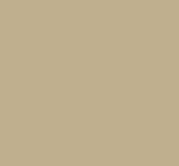 Fleetwood Popular Colours  Clay Beige