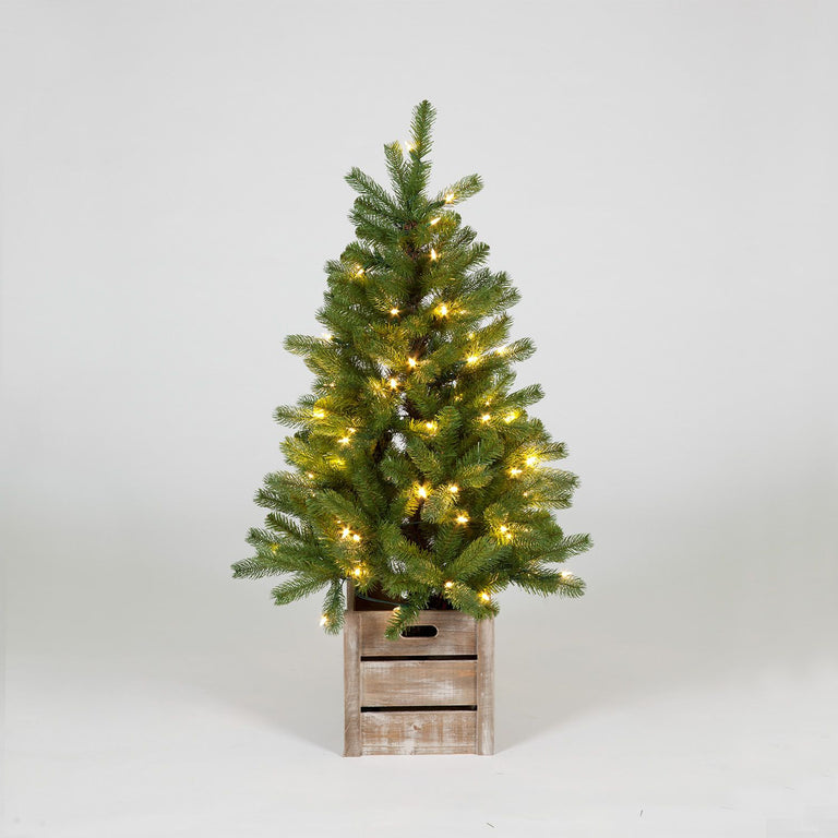 Snowtime Battery Operated 120cm Douglas Fir Porch Tree with 70 warm white LEDs285 Tips