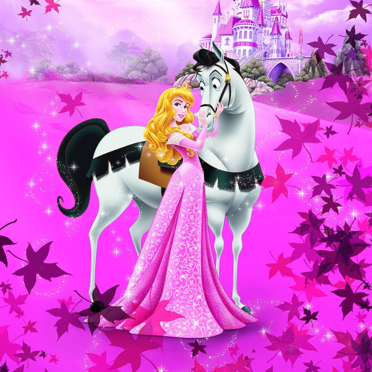 Disney Princess Photo Murals