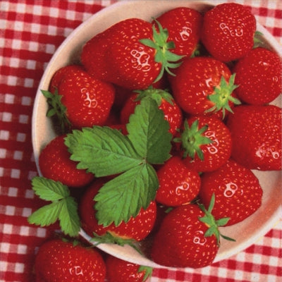 344637 Napkins 33x33cm