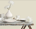 Fleetwood Prestige Pantone  Gardenia 110604