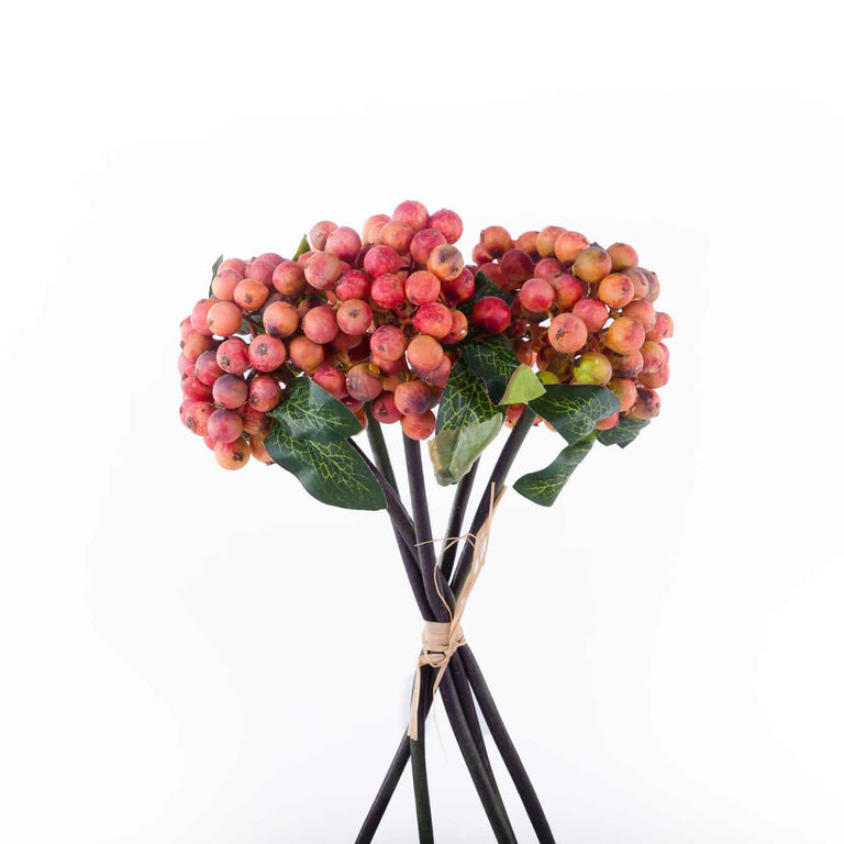 Rustic Berry Bunch Orange