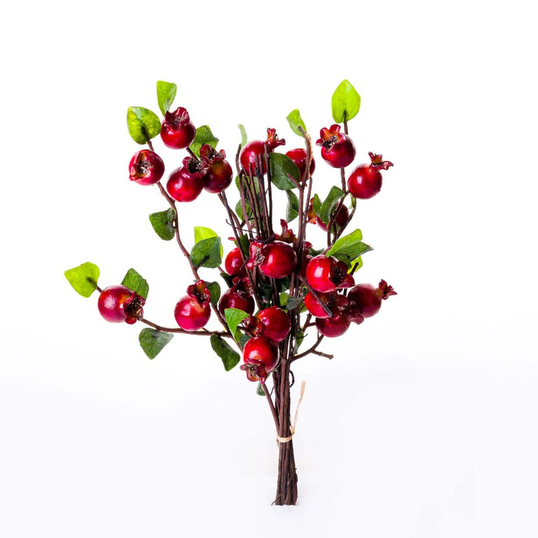 Wild Berry Red